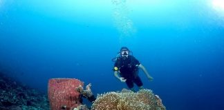 Đảo Bunaken - thiên đường lặn biển lý tưởng trong tour du lịch Indonesia